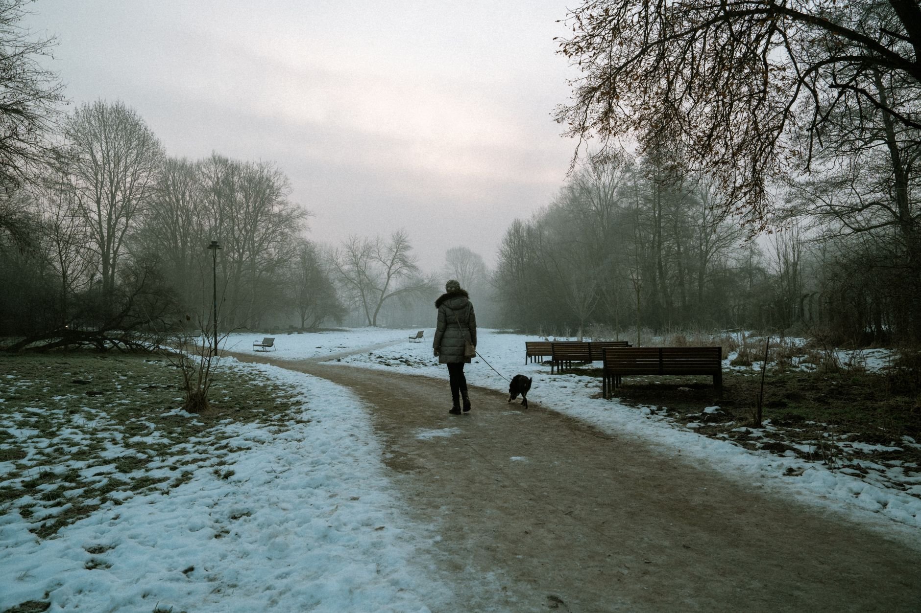 Una persona pasea con su perro por un parque con niebla